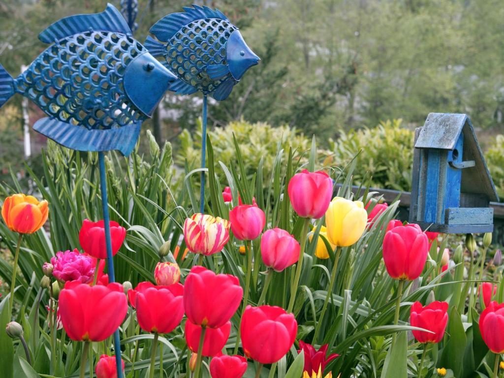 Hillside House Bed And Breakfast Friday Harbor Bagian luar foto